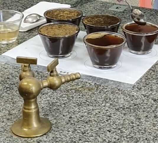 Café, Chocolate e Inovação